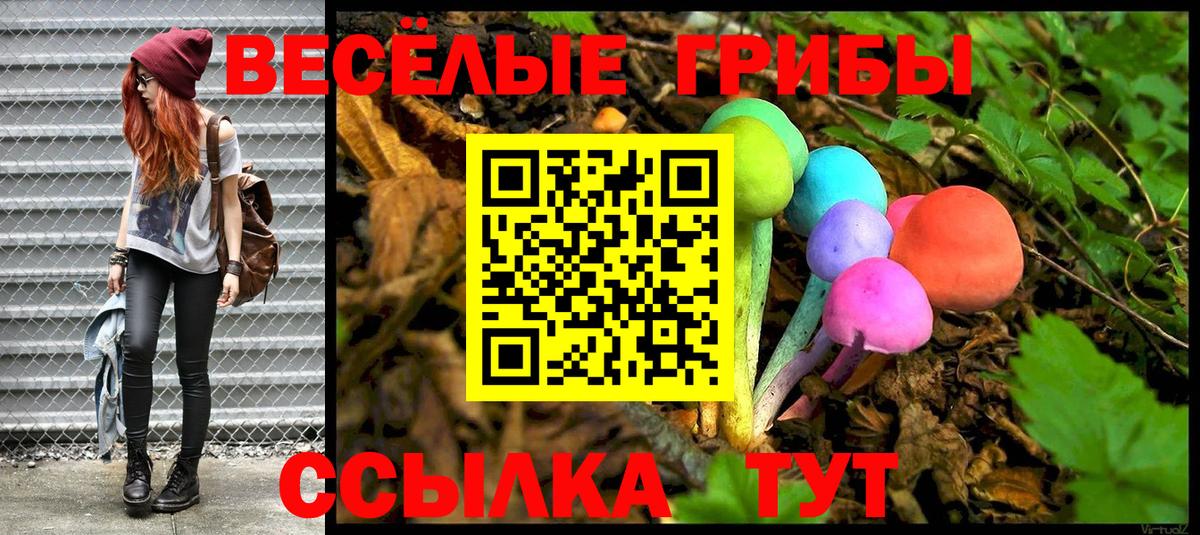 Карталы  наркотики  Псилоцибиновые грибы MAGIC MUSHROOMS  Вход с VPN  Псилоцибиновые грибы MAGIC MUSHROOMS 